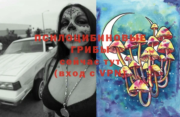 ГАЛЛЮЦИНОГЕННЫЕ ГРИБЫ Лихославль