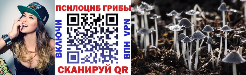 Псилоцибиновые грибы Cubensis кракен ссылки Пролетарск